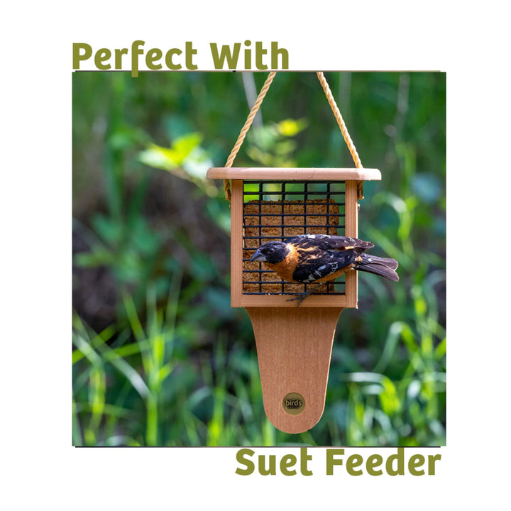 Bugs &amp; Nuts Seed Cake - Birds Choice