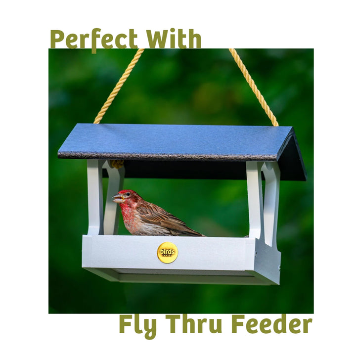 Bugs &amp; Nuts Seed Cake - Birds Choice