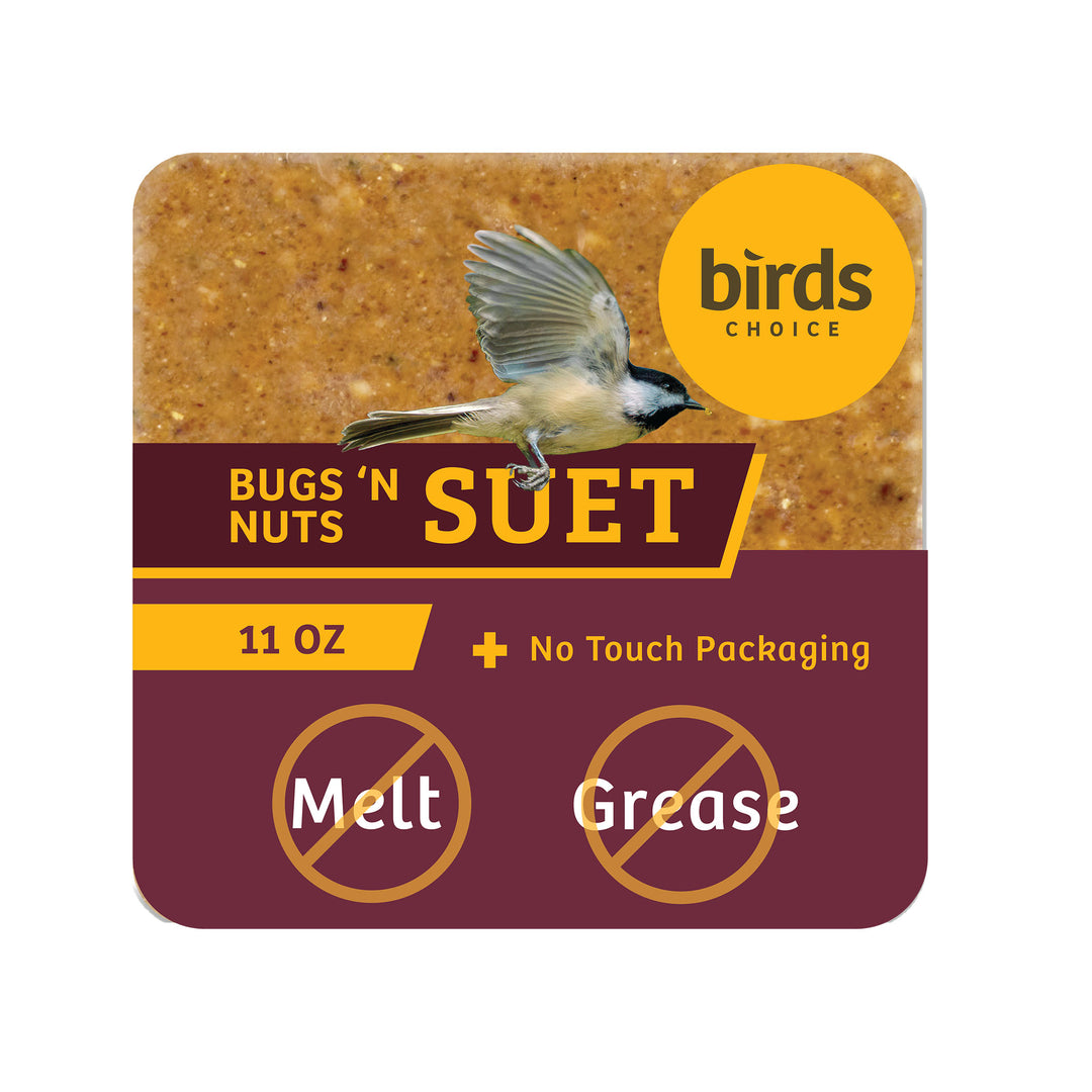 Bugs & Nuts No Melt Suet - Birds Choice