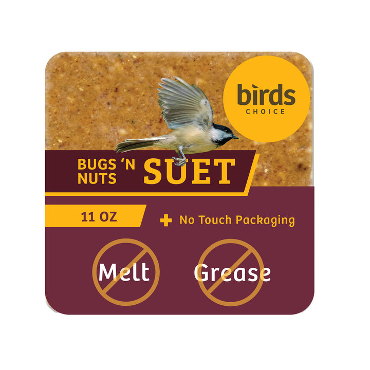 Bugs &amp; Nuts No Melt Suet - Birds Choice