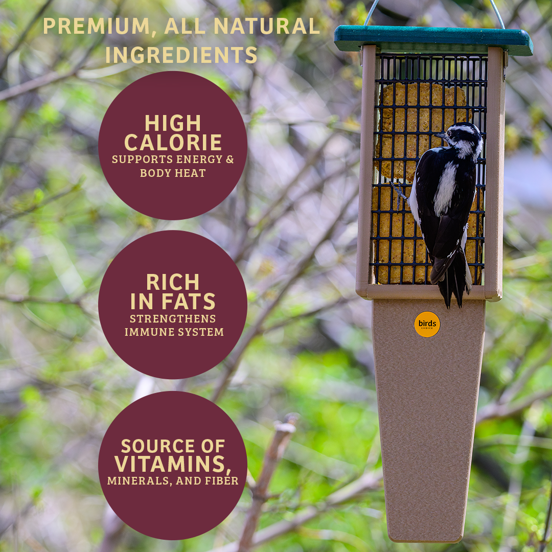 Bugs &amp; Nuts No Melt Suet - Birds Choice