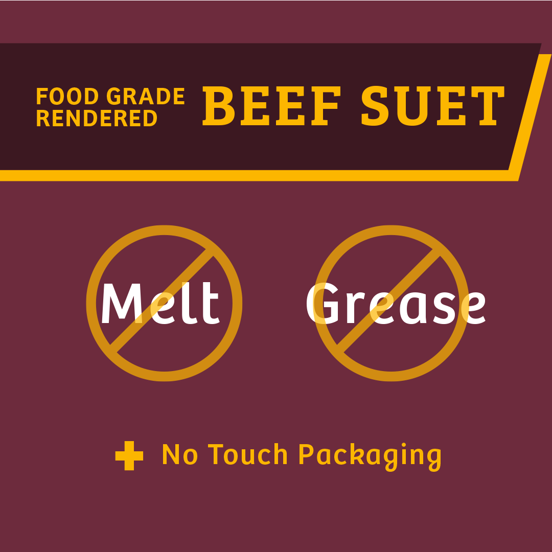 Bugs &amp; Nuts No Melt Suet - 12 Pack - Birds Choice