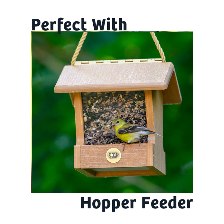 Black Oil Sunflower Wild Bird Food - 15 lbs. - Birds Choice