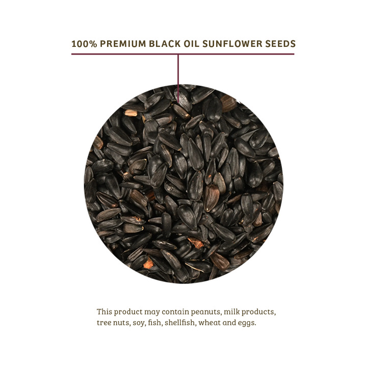 Black Oil Sunflower Wild Bird Food - 25 lbs. - Birds Choice