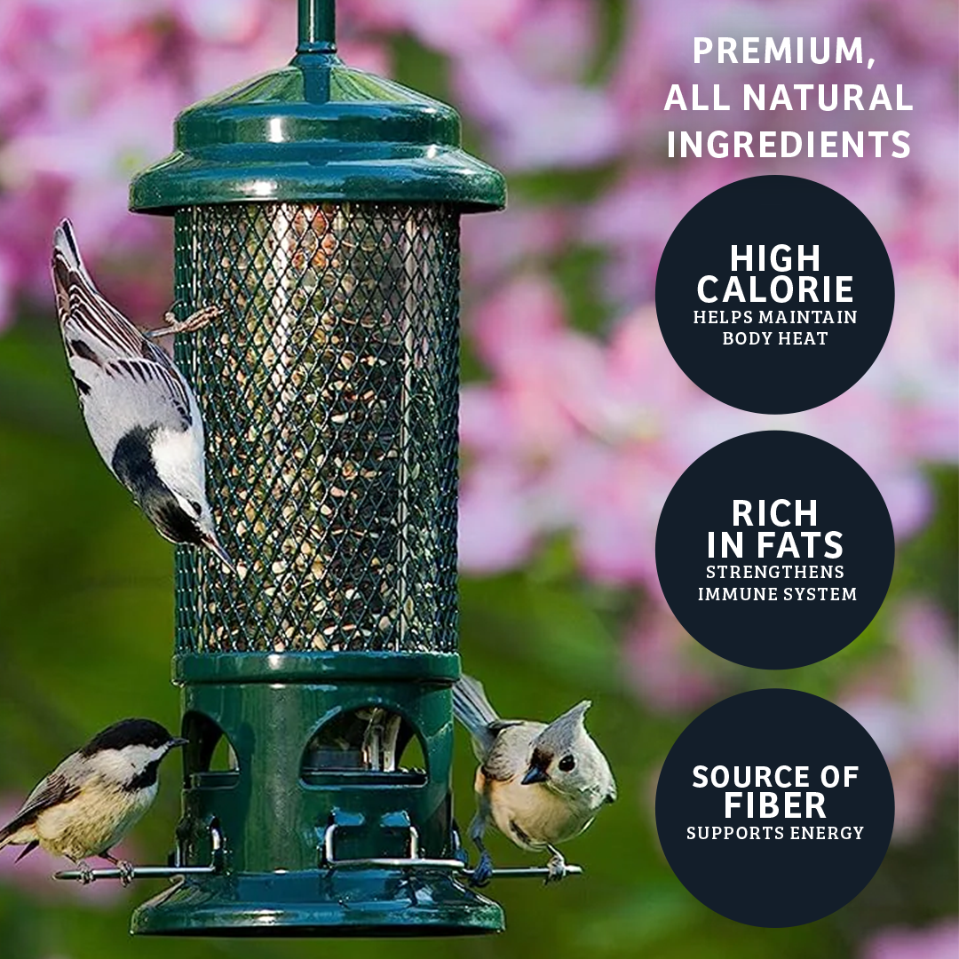 Black Oil Sunflower Wild Bird Food - 15 lbs. - Birds Choice