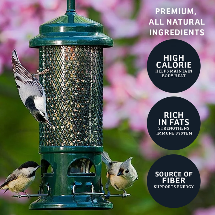 Black Oil Sunflower Wild Bird Food - 15 lbs. - Birds Choice