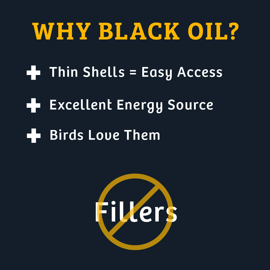 Black Oil Sunflower Wild Bird Food - 15 lbs. - Birds Choice
