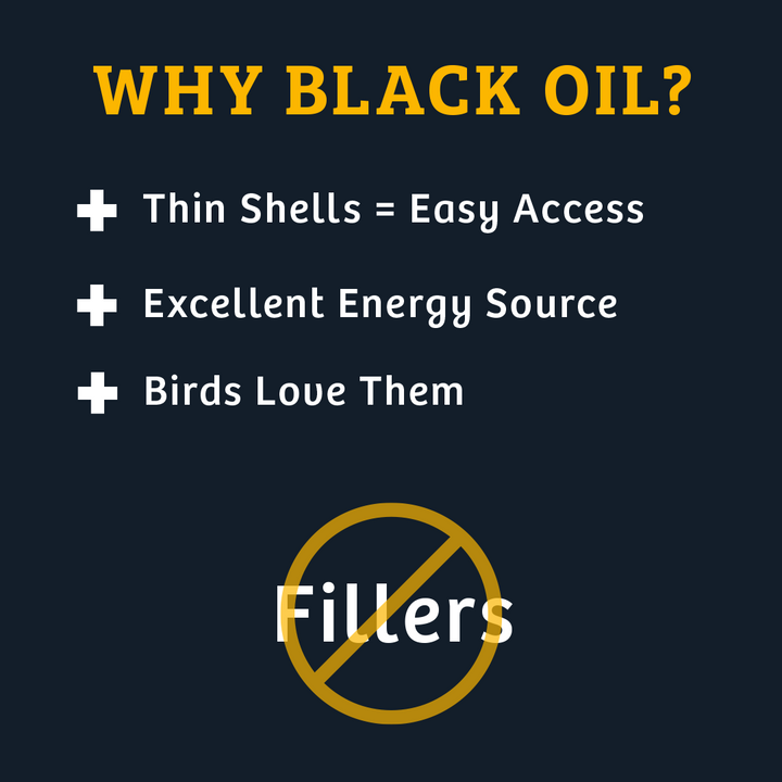 Black Oil Sunflower Wild Bird Food - 25 lbs. - Birds Choice