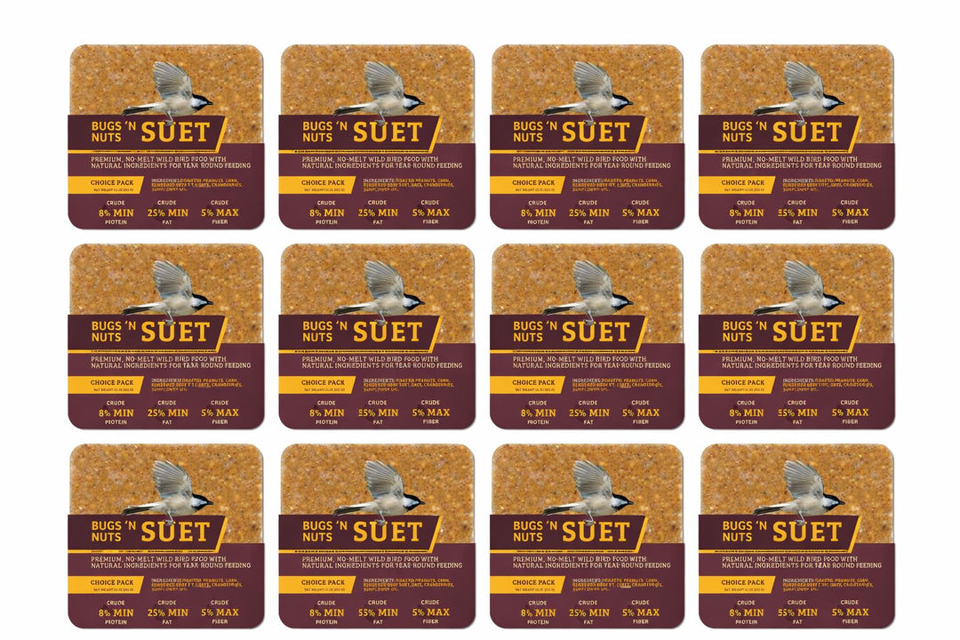 Bugs & Nuts No Melt Suet - 12 Pack - Birds Choice