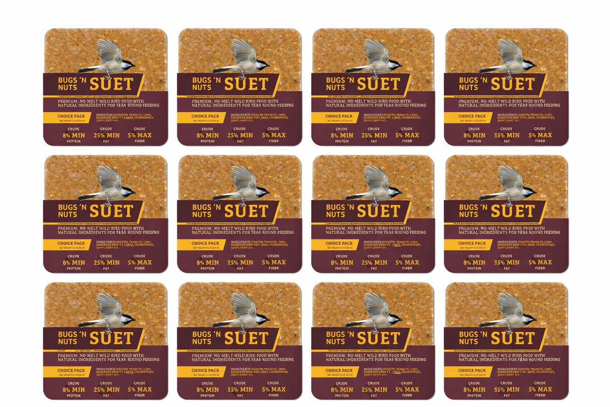 Bugs &amp; Nuts No Melt Suet - 12 Pack - Birds Choice