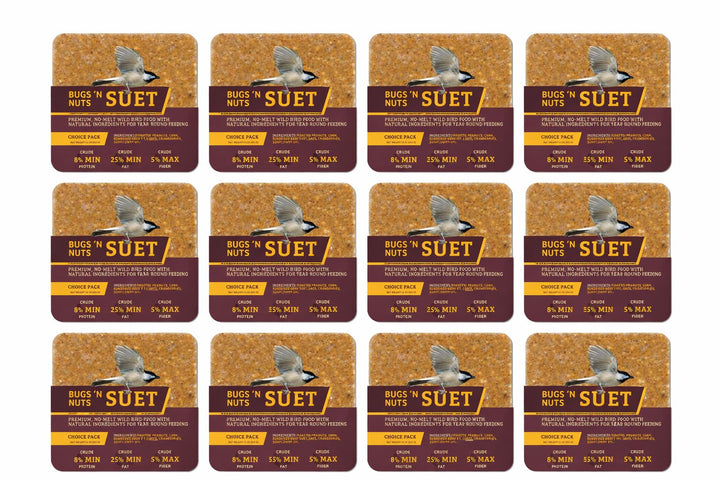 Bugs &amp; Nuts No Melt Suet - 12 Pack - Birds Choice