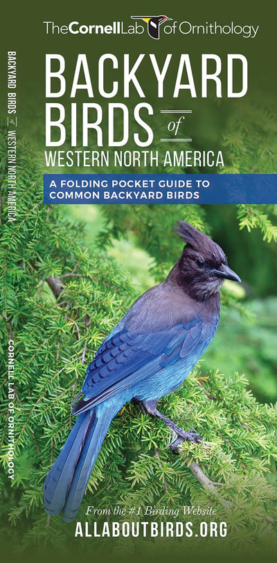 Backyard Birds Of Western North America