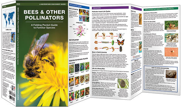 Bees & Other Pollinators Pocket Guide