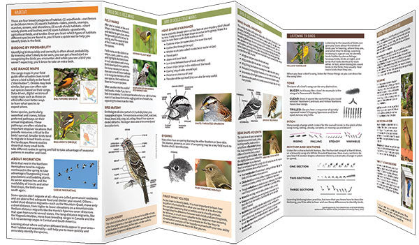 Birding 101 Pocket Guide - Birds Choice