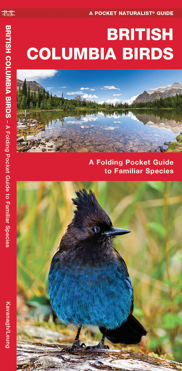 British Columbia Birds Pocket Guide - Birds Choice