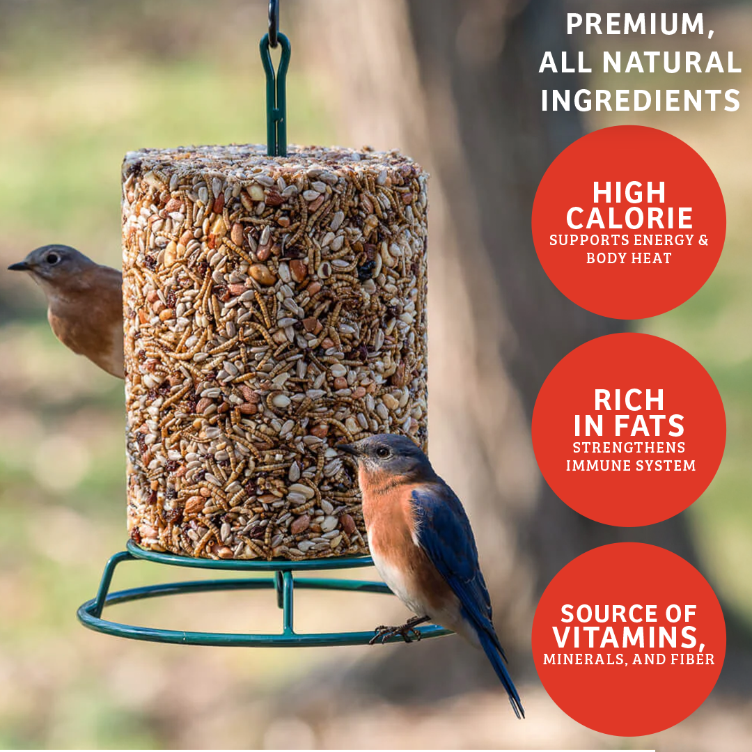 Cardinals Crave Seed Cylinder - Large - Birds Choice