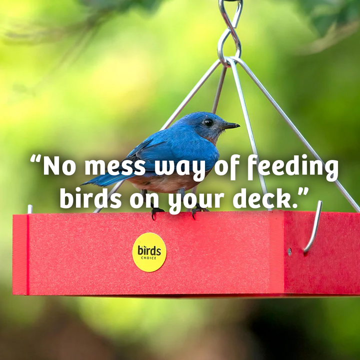 Cardinals Crave Seed Cylinder - Small - Birds Choice