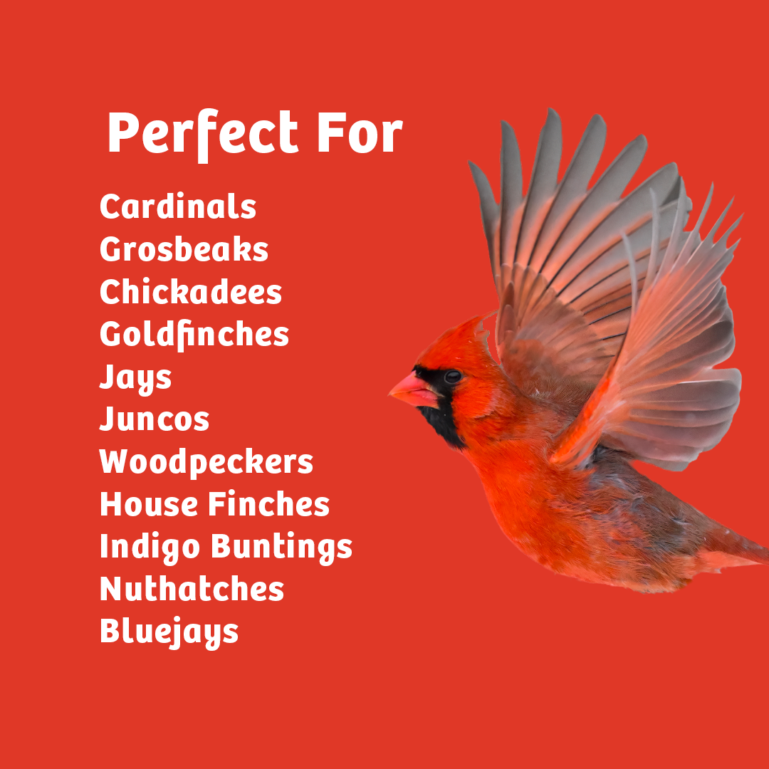 Cardinals Crave Seed Cylinder - Large - Birds Choice