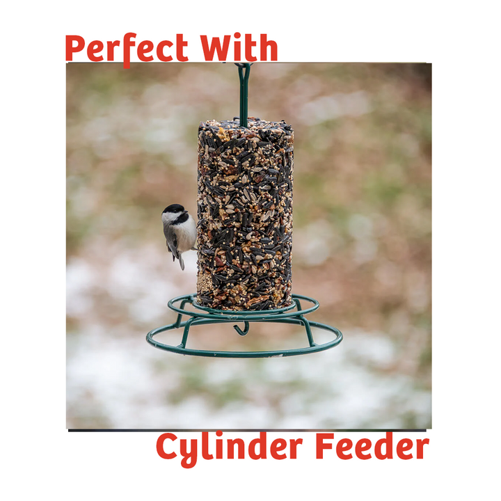 Cardinals Crave Seed Cylinder - Small - Birds Choice
