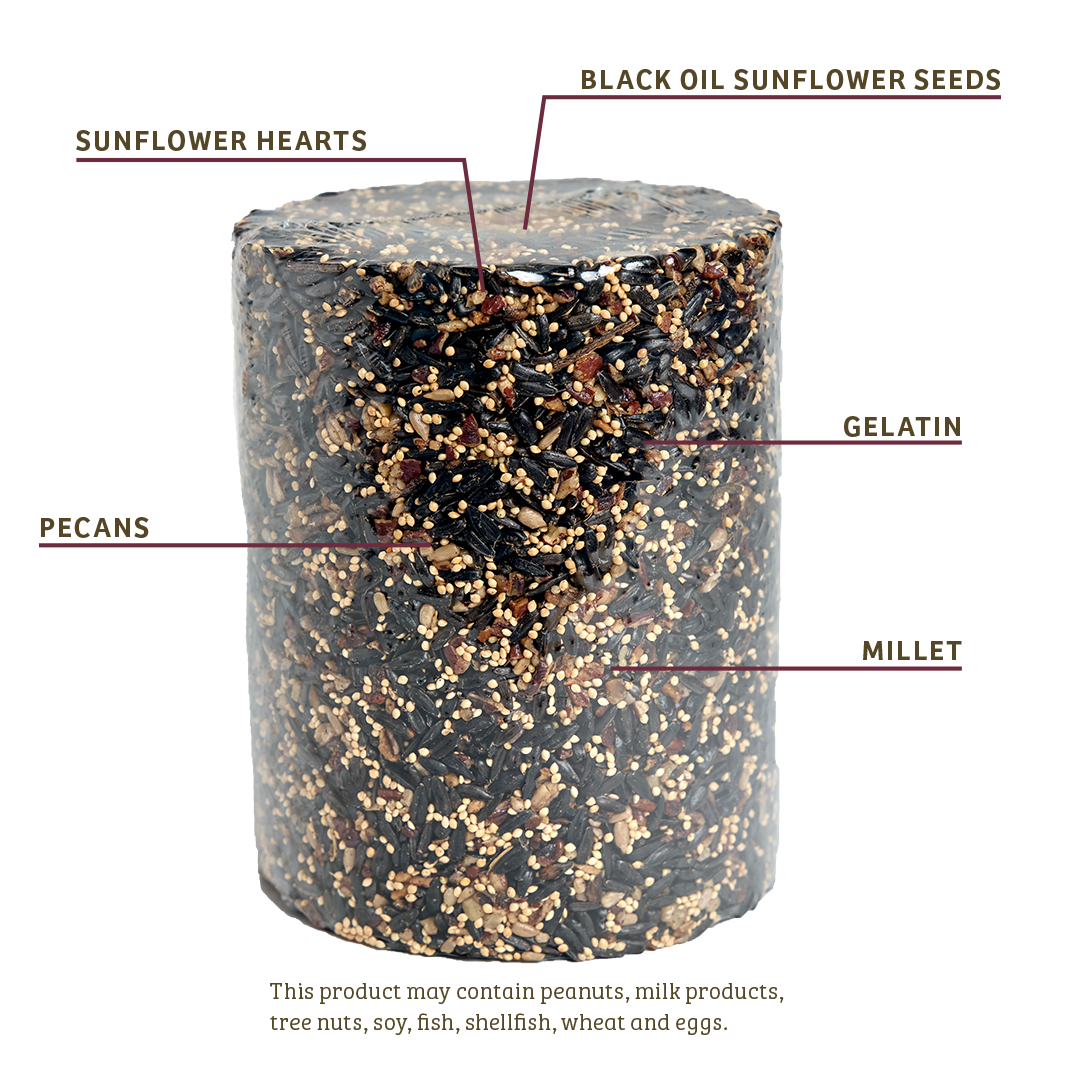 Cardinals Crave Seed Cylinder - Large - Birds Choice