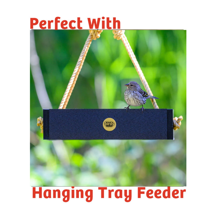 Cardinals Crave Seed Cake - Birds Choice
