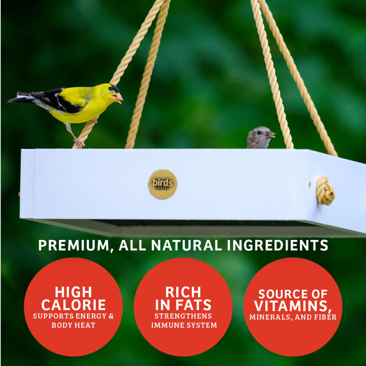 Cardinals Crave Seed Cake - Birds Choice