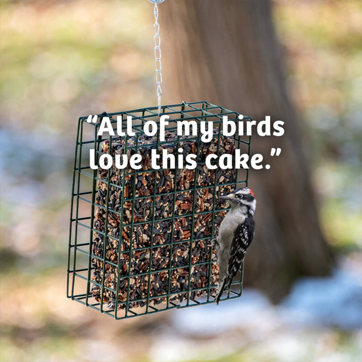 Cardinals Crave Seed Cake - Birds Choice