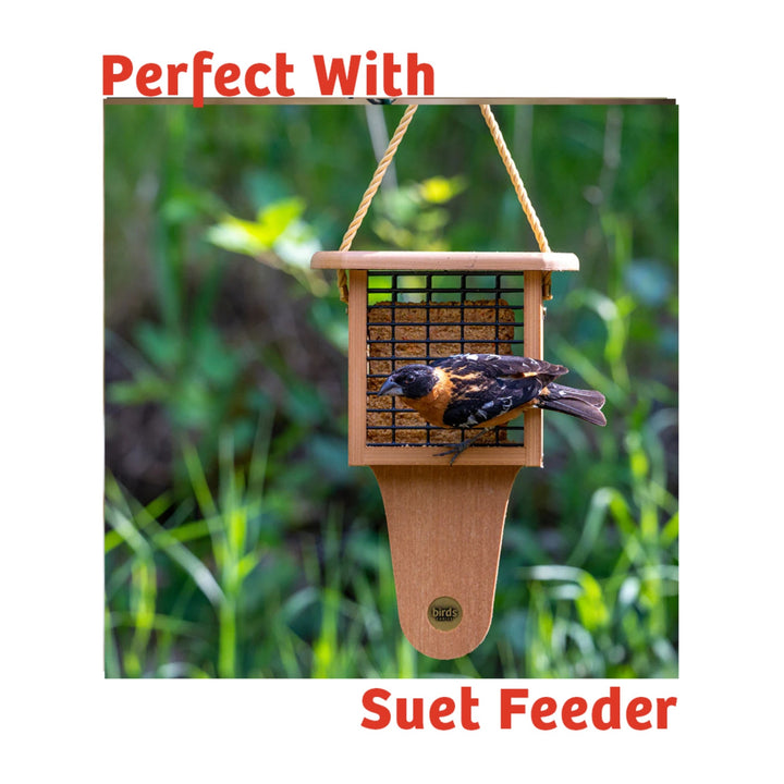 Cardinals Crave Seed Cake - Birds Choice