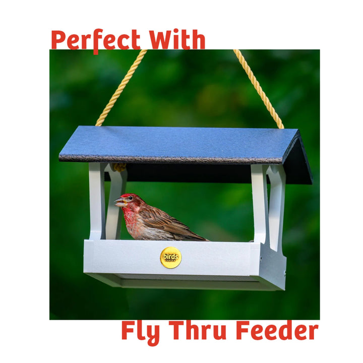 Cardinals Crave Seed Cake - Birds Choice