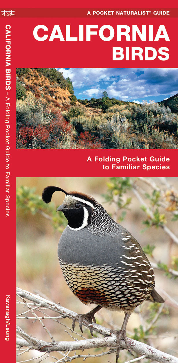 California Birds Pocket Guide - Birds Choice