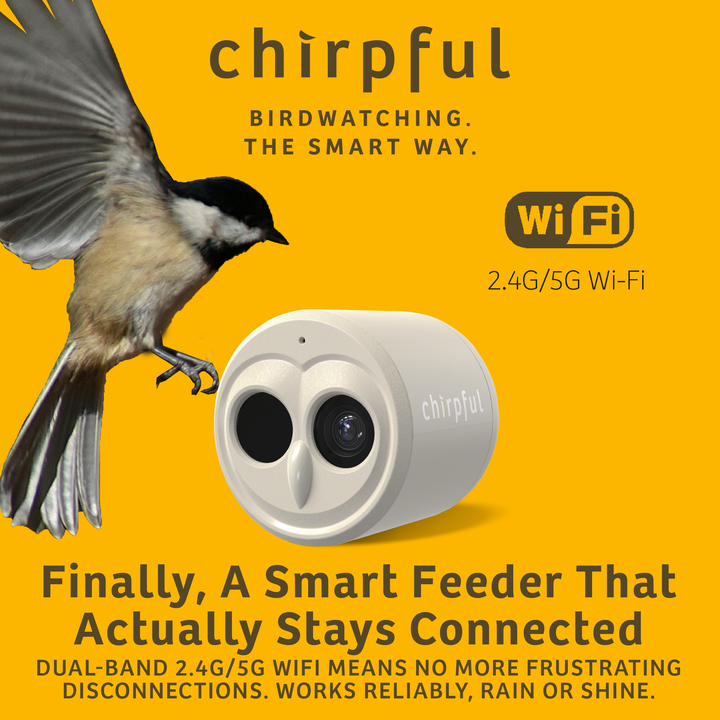Chirpful Smart Camera - 4k Camera | Solar-Powered | AI-Driven - Birds Choice