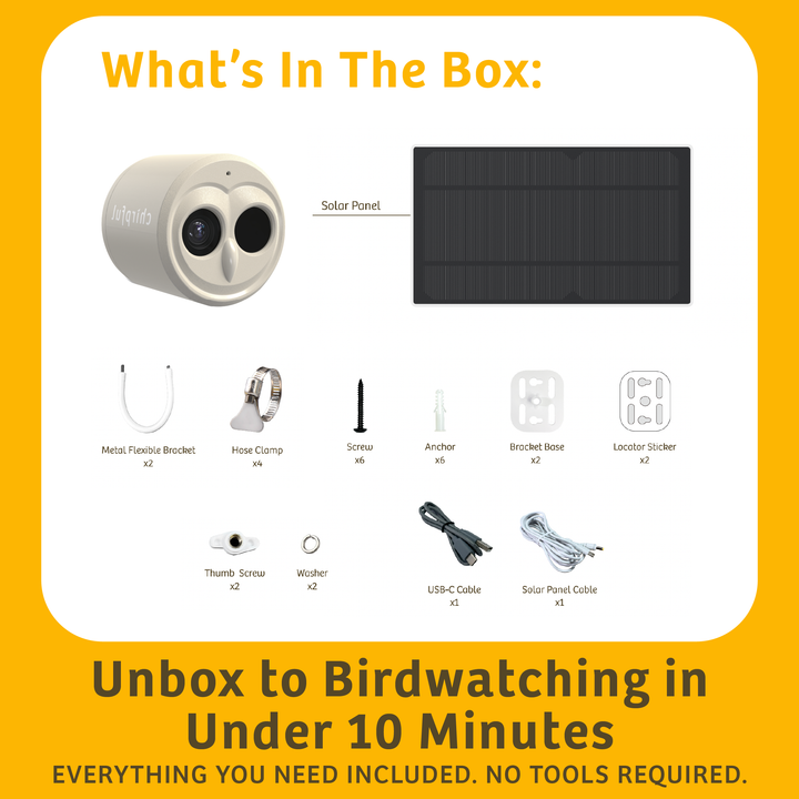 Chirpful Smart Camera - 4k Camera | Solar-Powered | AI-Driven - Birds Choice