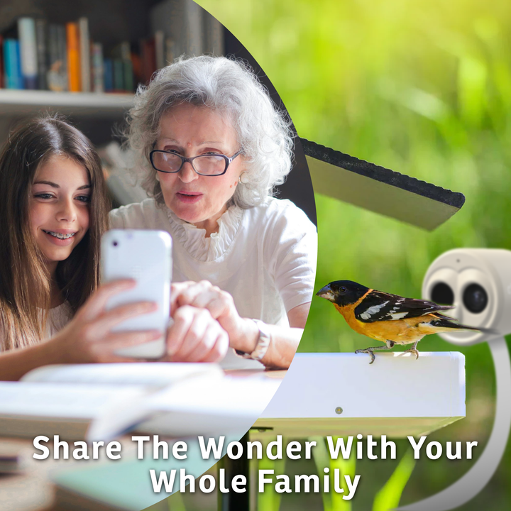 Chirpful Smart Camera - 4k Camera | Solar-Powered | AI-Driven - Birds Choice