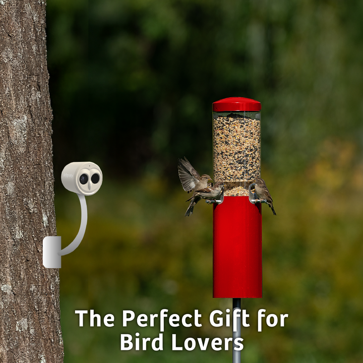 Chirpful Smart Camera - 4k Camera | Solar-Powered | AI-Driven - Birds Choice