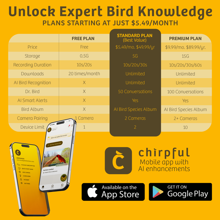 Chirpful Smart Camera - 4k Camera | Solar-Powered | AI-Driven - Birds Choice