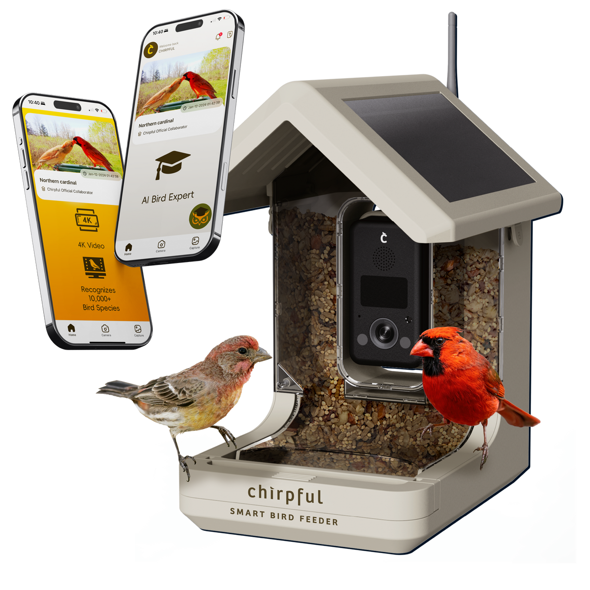 Chirpful Smart Feeder - 4k Camera | Solar-Powered | AI-Driven - Birds Choice