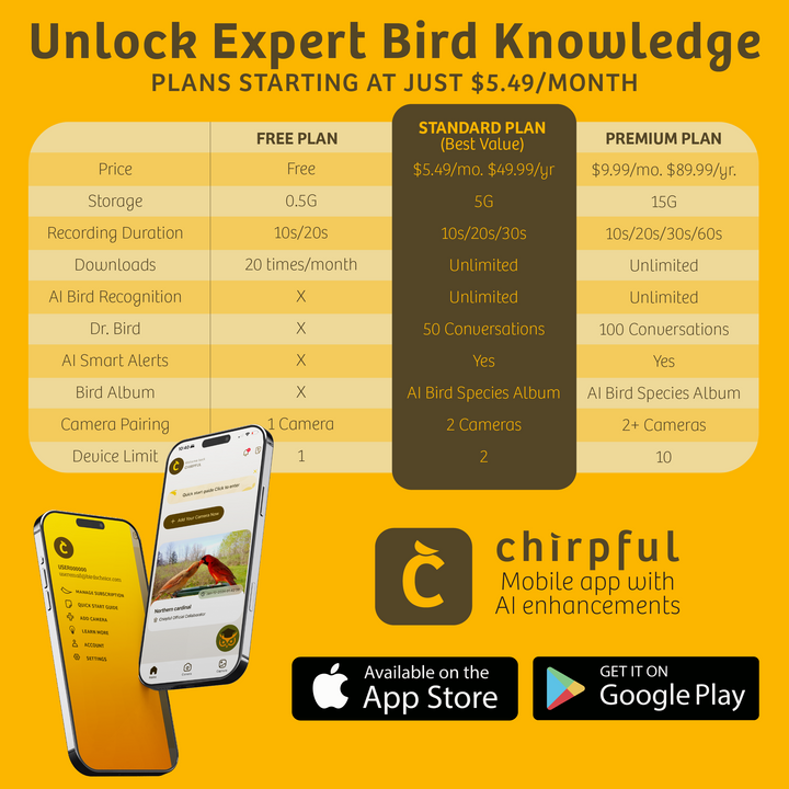 Chirpful Smart Feeder - 4k Camera | Solar-Powered | AI-Driven - Birds Choice
