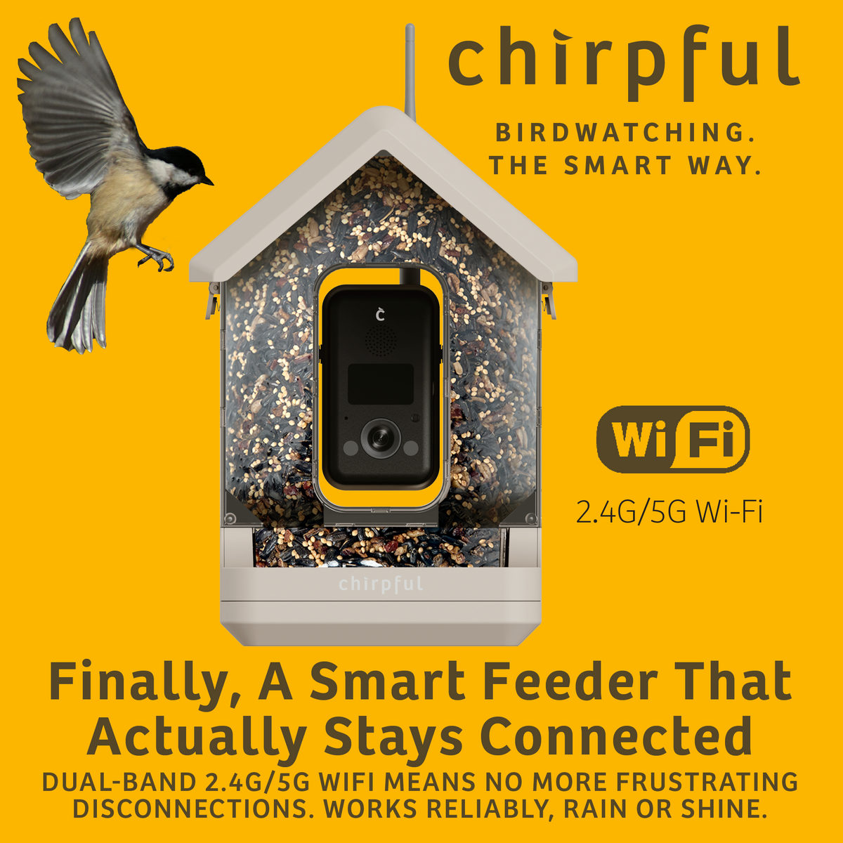 Chirpful Smart Feeder - 4k Camera | Solar-Powered | AI-Driven - Birds Choice