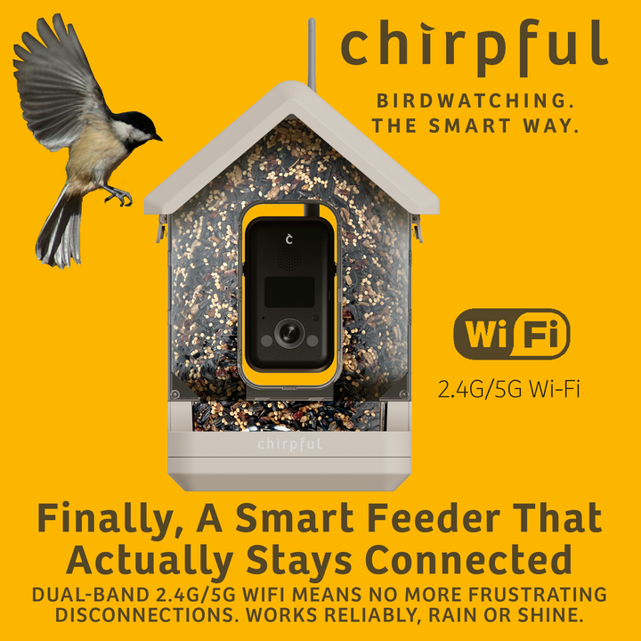 Chirpful Smart Feeder - 4k Camera | Solar-Powered | AI-Driven - Birds Choice