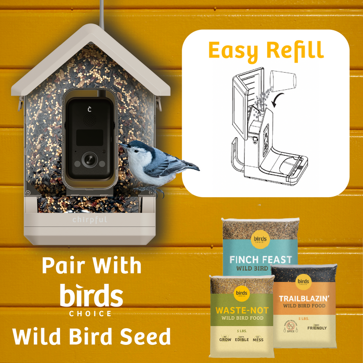 Chirpful Smart Feeder - 4k Camera | Solar-Powered | AI-Driven - Birds Choice