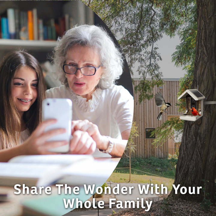Chirpful Smart Feeder - 4k Camera | Solar-Powered | AI-Driven - Birds Choice
