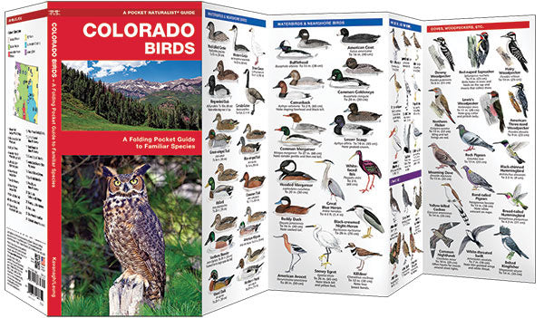 Colorado Birds Pocket Guide