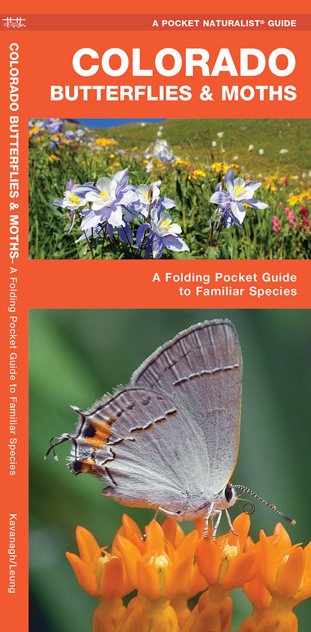 Colorado Butterflies & Moths Pocket Guide - Birds Choice