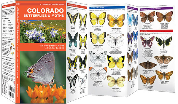 Colorado Butterflies &amp; Moths Pocket Guide - Birds Choice