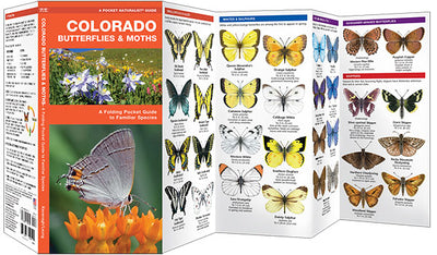 Colorado Butterflies & Moths Pocket Guide