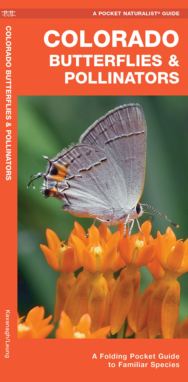 Colorado Butterflies &amp; Pollinators Pocket Guide - Birds Choice