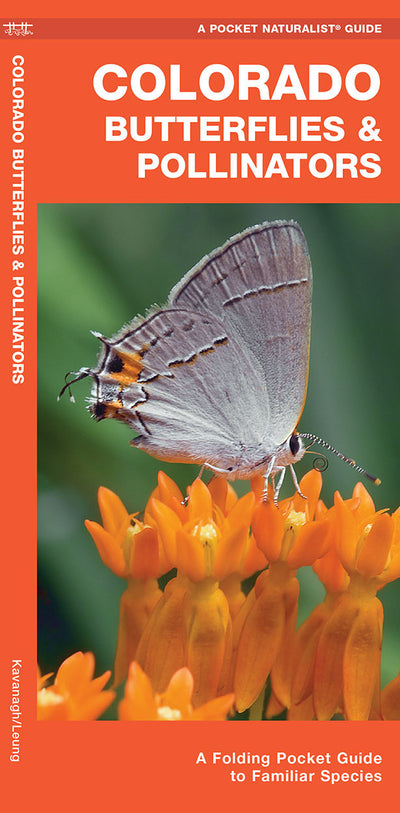 Colorado Butterflies & Pollinators Pocket Guide