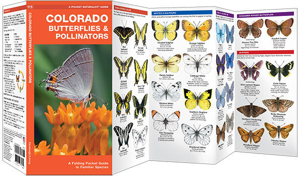 Colorado Butterflies &amp; Pollinators Pocket Guide - Birds Choice