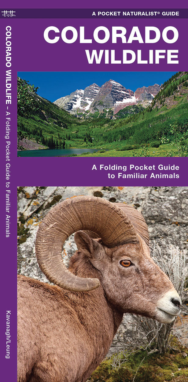Colorado Wildlife Pocket Guide