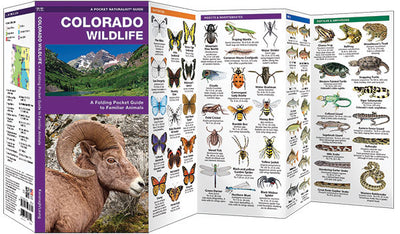 Colorado Wildlife Pocket Guide